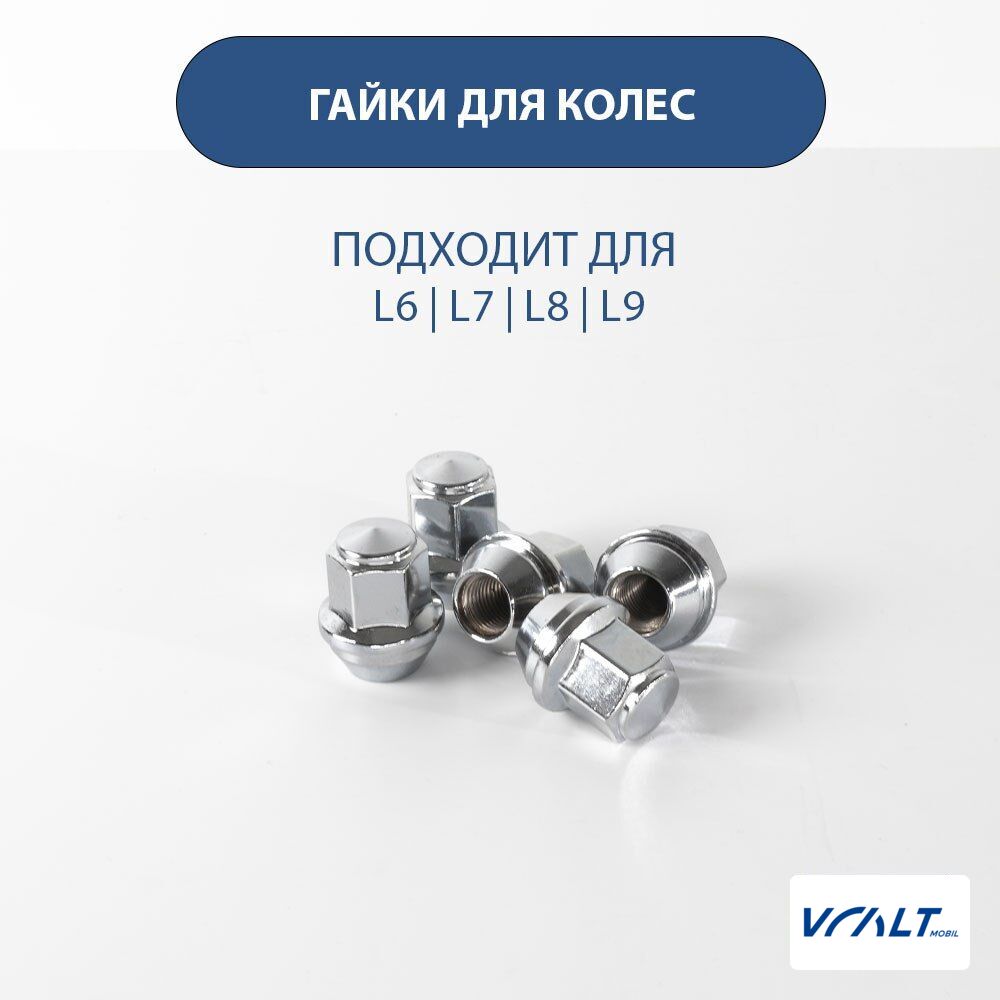 Крепёжные гайки колёсных дисков LiXiang (оригинальные)