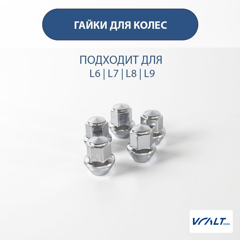 Крепёжные гайки колёсных дисков LiXiang (оригинальные)